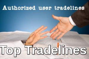 Authorized User Tradelines For Sale